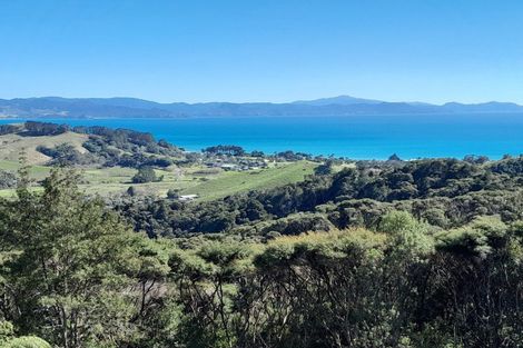 Photo of property in 109 Kawhina Lane, Kuaotunu, Whitianga, 3592