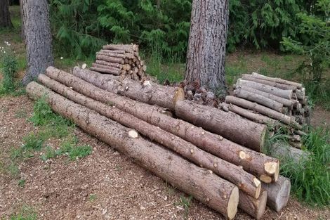 Photo of property in 12 Railway Street, Fairlie, 7925