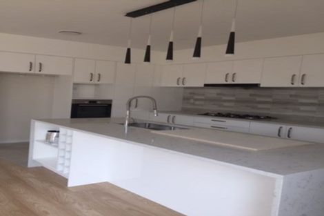 Photo of property in 23 Puoro Street, Flat Bush, Auckland, 2019