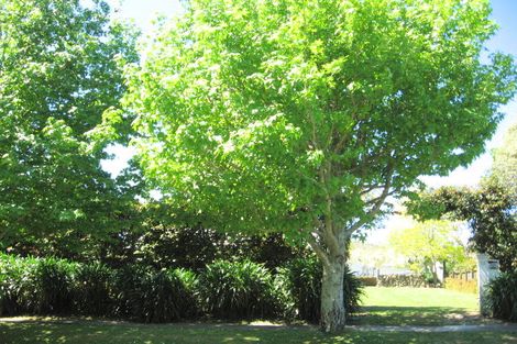 Photo of property in 14 Williams Street, Kaitaia, 0410