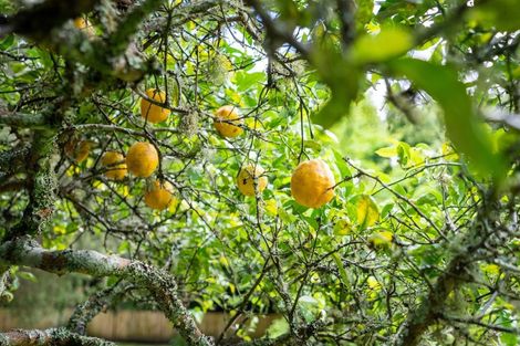 Photo of property in 136 Western Hills Drive, Kensington, Whangarei, 0112