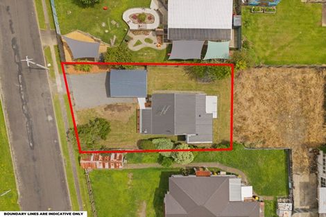 Photo of property in 65 Buckland Street, Putaruru, 3411