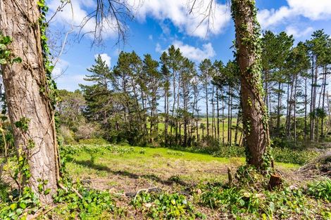 Photo of property in 5a Pirika Street, Dargaville, 0310