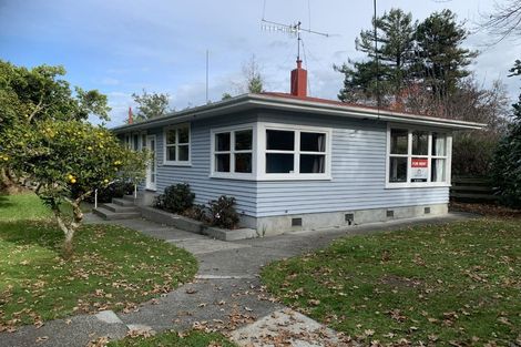 Photo of property in 41 Bond Street, Marton, 4710