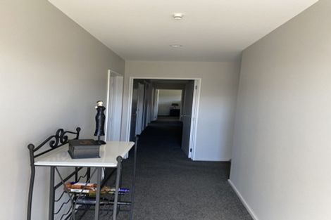 Photo of property in 45 Bonecrusher Street, Lincoln, 7608