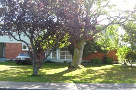 Photo of property in 13 Murray Street, Mosgiel, 9024