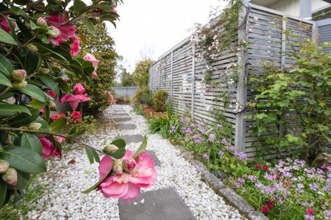 Photo of property in 73 Westminster Avenue, Tamatea, Napier, 4112