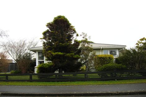 Photo of property in 25 Matai Street, Hargest, Invercargill, 9810