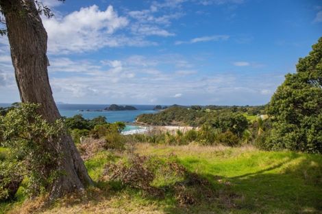 Photo of property in 515 Rockell Road, Whananaki, Hikurangi, 0181