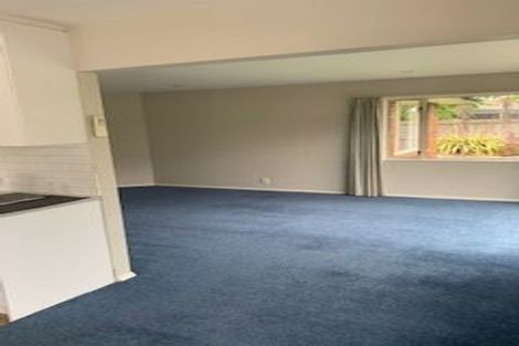 Photo of property in 44a Moreland Avenue, Papanui, Christchurch, 8053