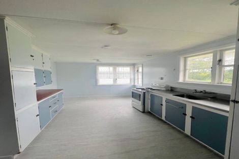 Photo of property in 101 Orchard West Road, Ngatea, 3503