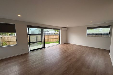 Photo of property in 2/163 Bordesley Street, Phillipstown, Christchurch, 8011