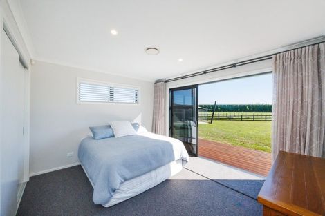 Photo of property in 79 Jackeytown Road, Tiakitahuna, Palmerston North, 4477