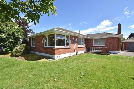 Photo of property in 118 Grace Street, Appleby, Invercargill, 9812