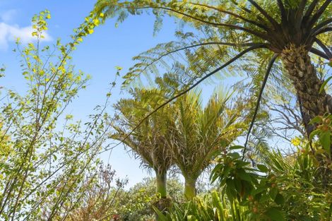 Photo of property in 75 Liverpool Street, Levin, 5510