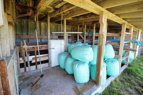 Photo of property in 8 Winter Road, Menzies Ferry, Wyndham, 9891