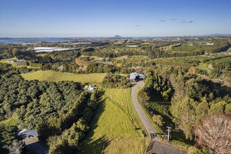 Photo of property in 101 Turntable Hill Road, Whakamarama, Katikati, 3181