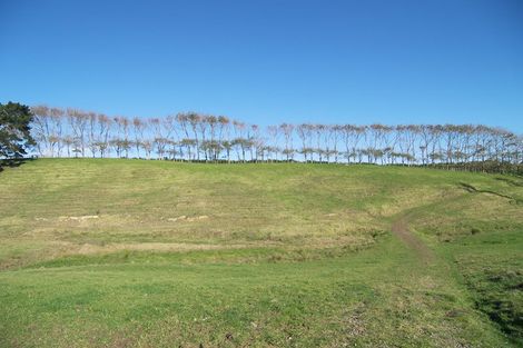 Photo of property in 24b Phillip Street, Victoria, Rotorua, 3010