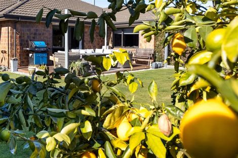 Photo of property in 12 River Terrace, Renwick, 7204