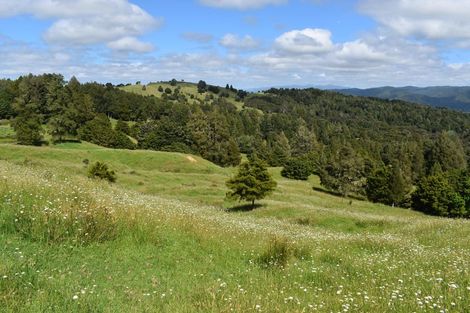 Photo of property in 63 Donaldson Road, Okaihau, 0475