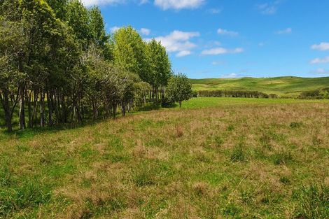 Photo of property in 237 Hewlett Road, Mata, Whangarei, 0171