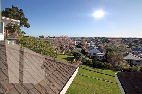 Photo of property in 148 Vivian Street, New Plymouth, 4310