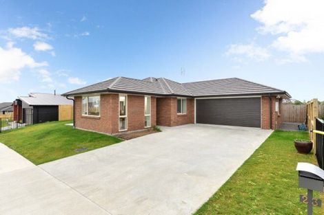 Photo of property in 23 Bostonkip Crescent, Fitzroy, Hamilton, 3206