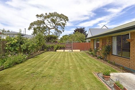 Photo of property in 17 Shannon Place, Belfast, Christchurch, 8051