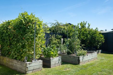 Photo of property in 15 Lochhead Street, Mahora, Hastings, 4120