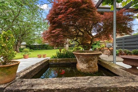 Photo of property in 3 Gillies Avenue, Claudelands, Hamilton, 3214