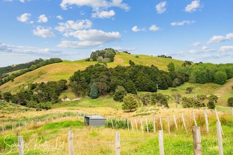 Photo of property in 178 Heatley Road, Whakapirau, Maungaturoto, 0583