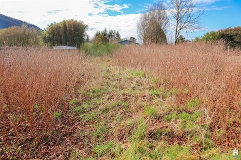 Photo of property in 21 Clifford Street, Blackball, 7804