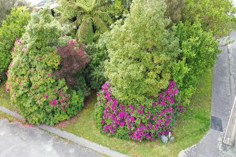 Photo of property in 61 Seddon Street, Kumara, 7832