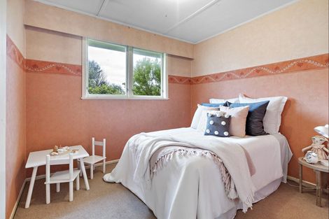 Photo of property in 25 Daniell Street, Solway, Masterton, 5810