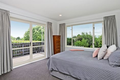 Photo of property in 21 Rakau Street, Havelock North, 4130