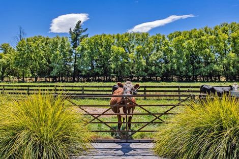 Photo of property in 78 Skewbridge Road, Flaxton, Kaiapoi, 7691