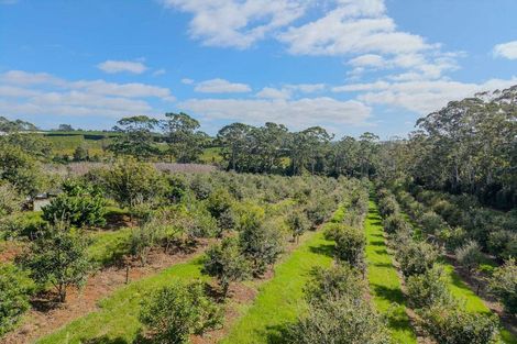 Photo of property in 89 Conifer Lane, Kerikeri, 0294