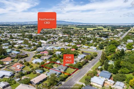 Photo of property in 38 Watt Street, Featherston, 5710
