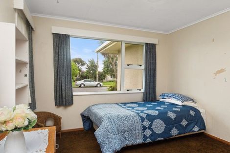 Photo of property in 13 Attlee Place, Feilding, 4702