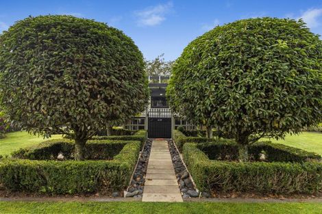 Photo of property in 7 Ulysses Street, Stratford, 4332