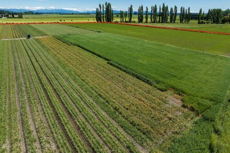 Photo of property in 75 Bealey Road, Leeston, 7683