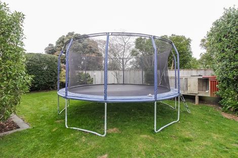 Photo of property in 6 Higgin Place, Feilding, 4702