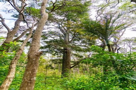 Photo of property in 100 Shieling Road, Waipu, 0582