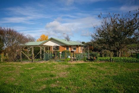 Photo of property in 10 Kittow Street, Tirau, 3410