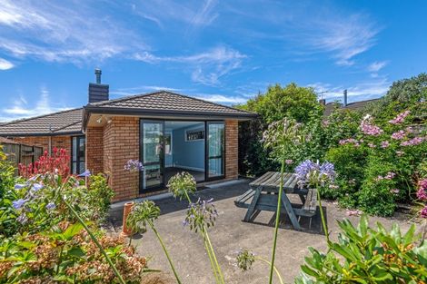 Photo of property in 132a Ferguson Street, West End, Palmerston North, 4412