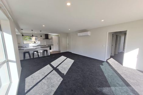 Photo of property in 51b Opawa Road, Waltham, Christchurch, 8023