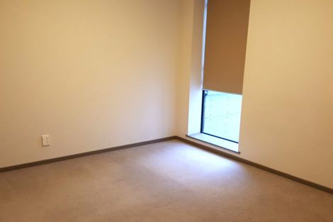 Photo of property in Dual Apartments, 210/142 Vivian Street, Te Aro, Wellington, 6011