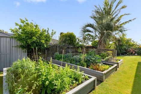 Photo of property in 4 Verbena Glen, Mount Maunganui, 3116