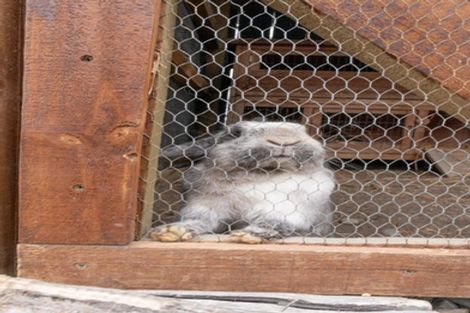 Photo of property in 43 Church Street, Oxford, 7430