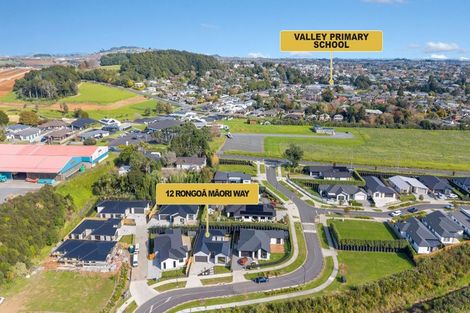 Photo of property in 12 Rongoa Maori Way, Pukekohe, 2120